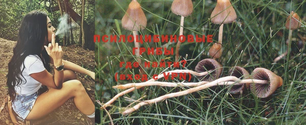 мяу мяу мука Баксан