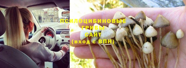 гидра Надым