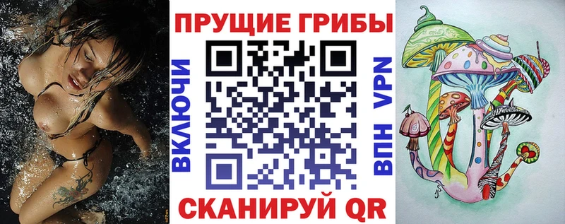 купить наркотики сайты  Невель  Псилоцибиновые грибы GOLDEN TEACHER 